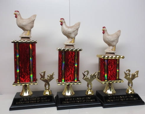 BBQ Trophies Chicken Trophy Grill Master Trophies Best Chicken Wings BBQ Cook Off Trophy Champion Hot Wings Champ Chicken Awards 4th of July