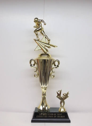 FFL Trophy Fantasy Football Trophy FFL League Champion Champ Trophy Award Gold Winning Cup