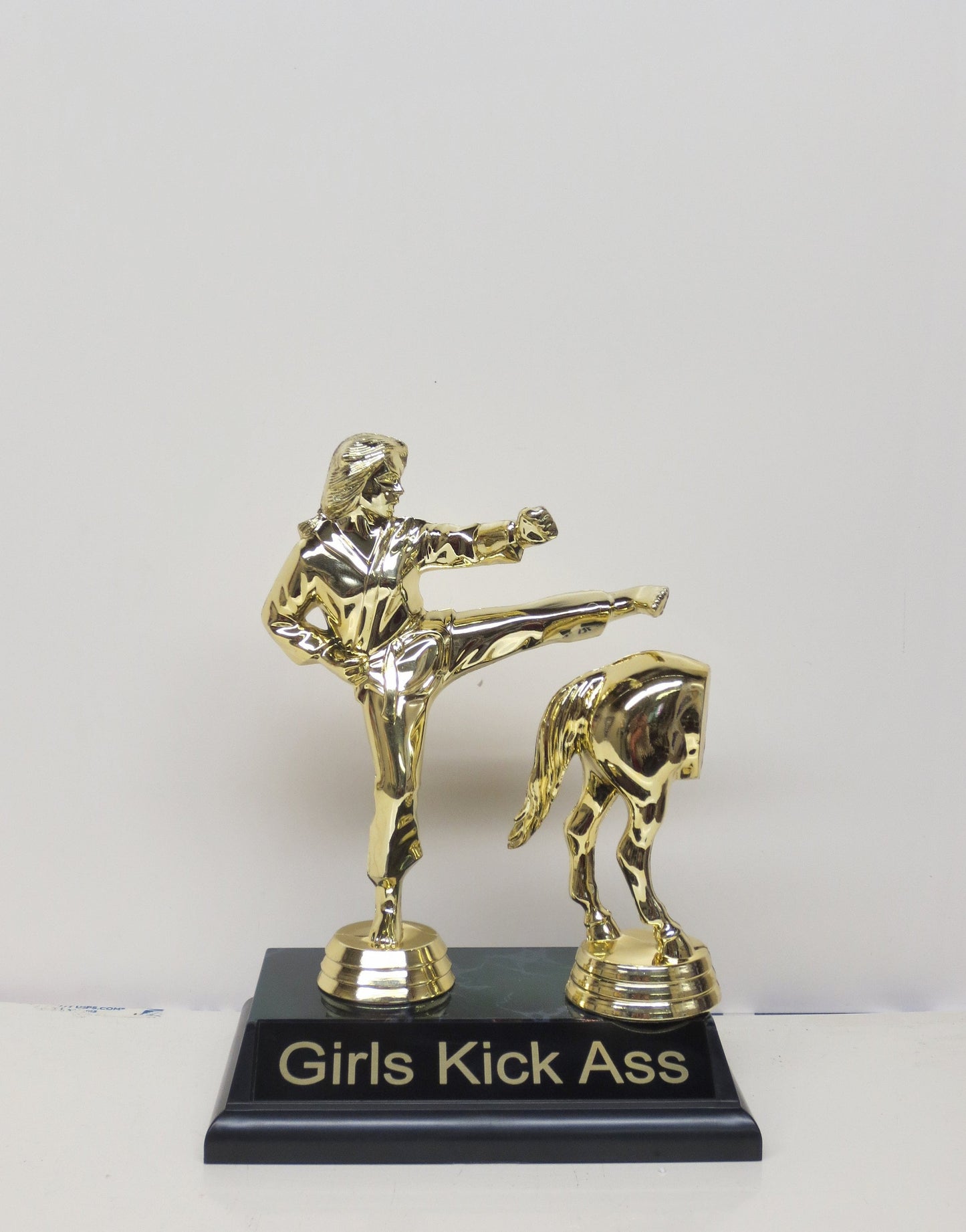 Girls Kick Ass Funny Trophy Karate Trophy Jack Ass Horses Rear Funny Award Gag Gift Inspirational Girl Power Mother's Day Mom Daughter Gift