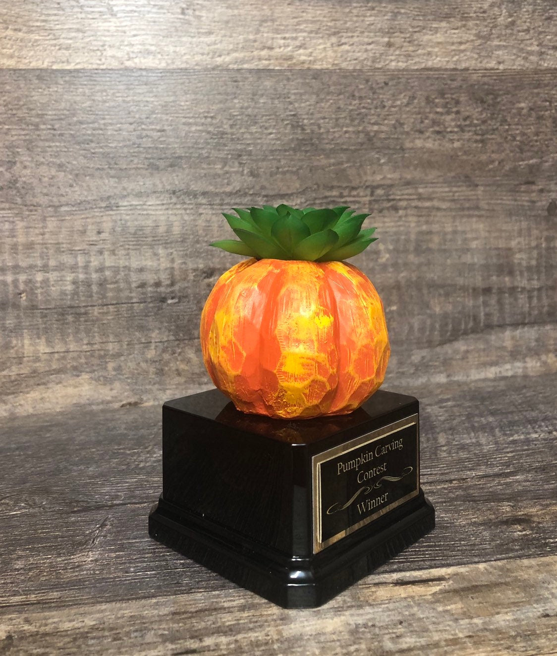Halloween Trophy Pumpkin Carving Contest Pumpkin with PLASTIC Succulence Plant Costume Contest Jack O Lantern Trophy Trunk or Treat Winner