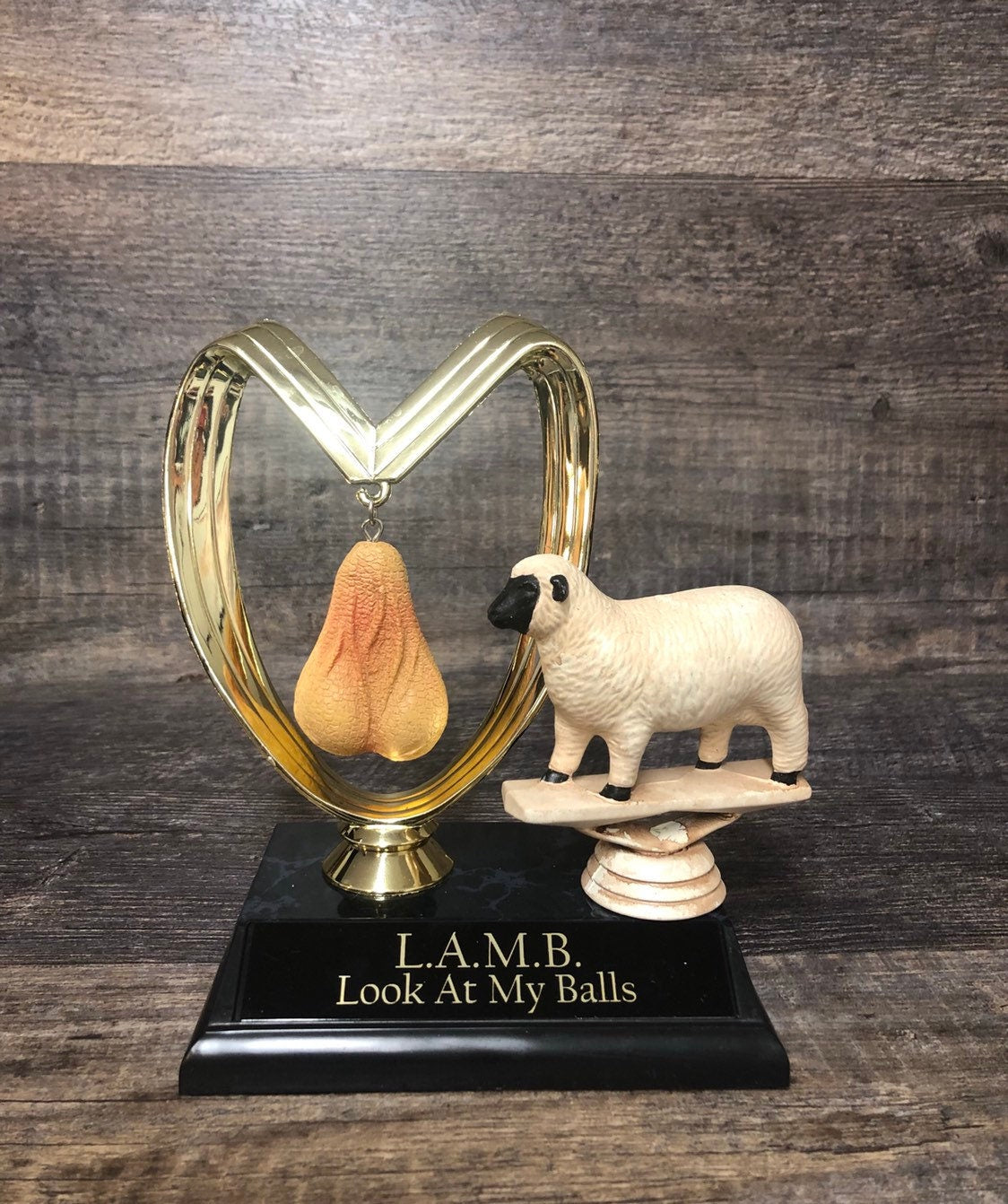 L.A.M.B Look At My Balls Funny Trophy Aww Nuts! Fantasy Football FFL Loser Award Trophy Adult Humor Grow A Pair Gag Gift Penis Testicle