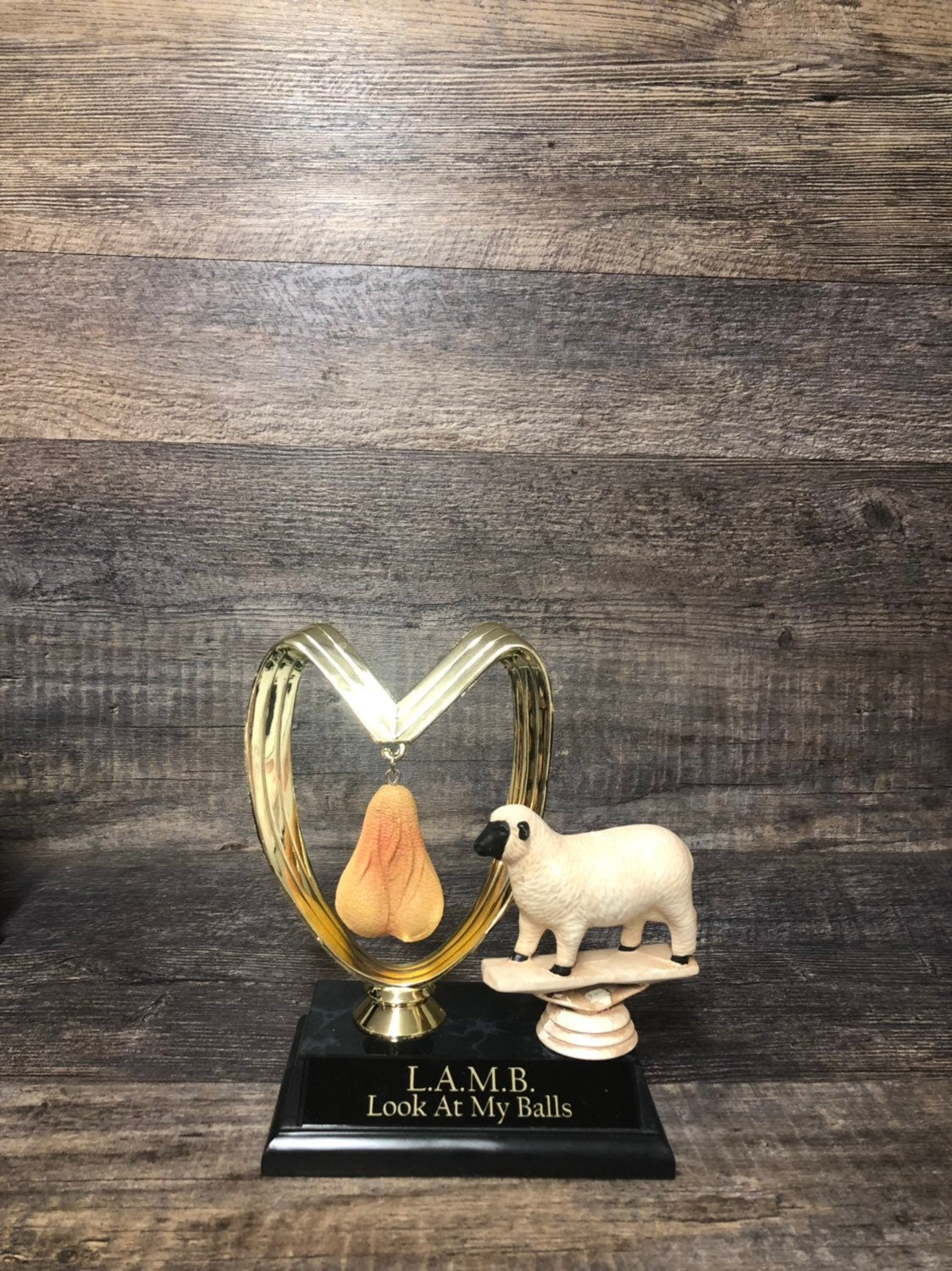 L.A.M.B Look At My Balls Funny Trophy Aww Nuts! Fantasy Football FFL Loser Award Trophy Adult Humor Grow A Pair Gag Gift Penis Testicle