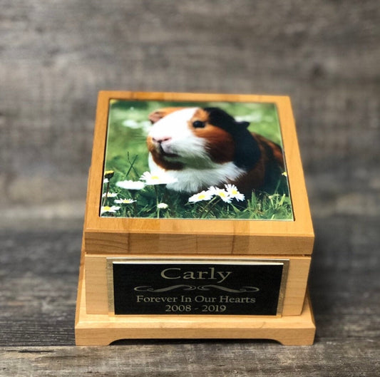 Guinea Pig Urn Small Animal Pet Urn Bunny Rabbit Urn Pet Memorial Keepsake Box Cremation Urn Custom Photo Tile & Engraved Tag To 25lbs