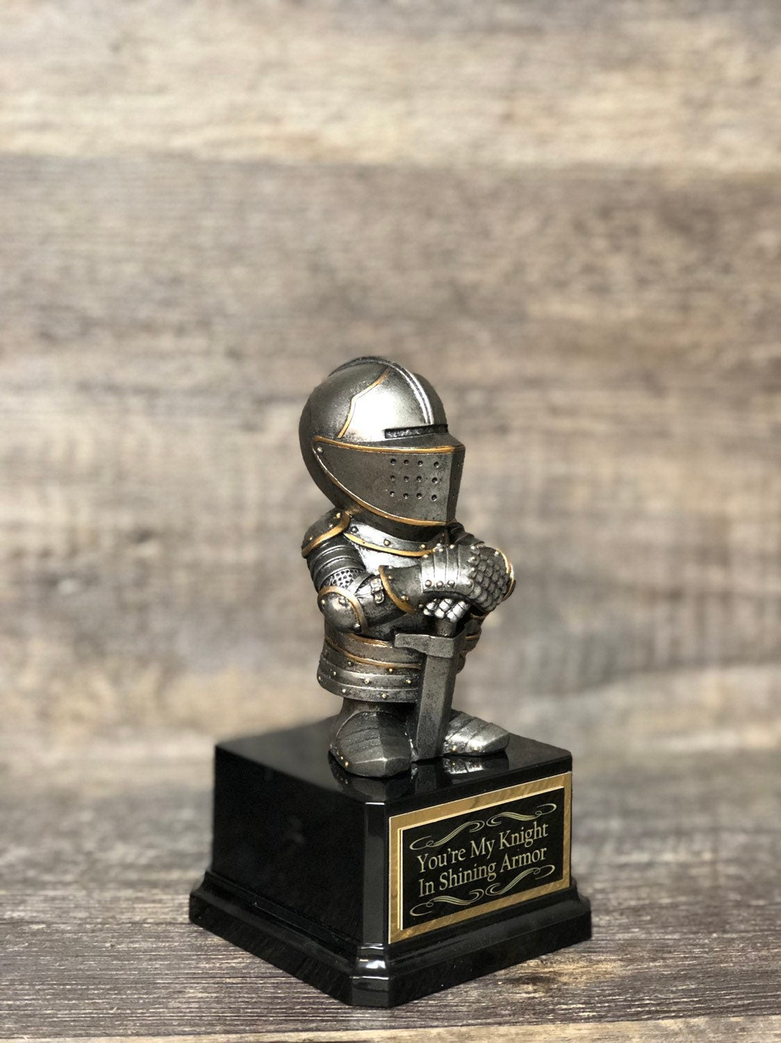 Valentine’s Day Funny Trophy Best Boyfriend Award Knight In Shining Armor Best Dad Award Gag Gift Valiant Effort Award Adult Humor