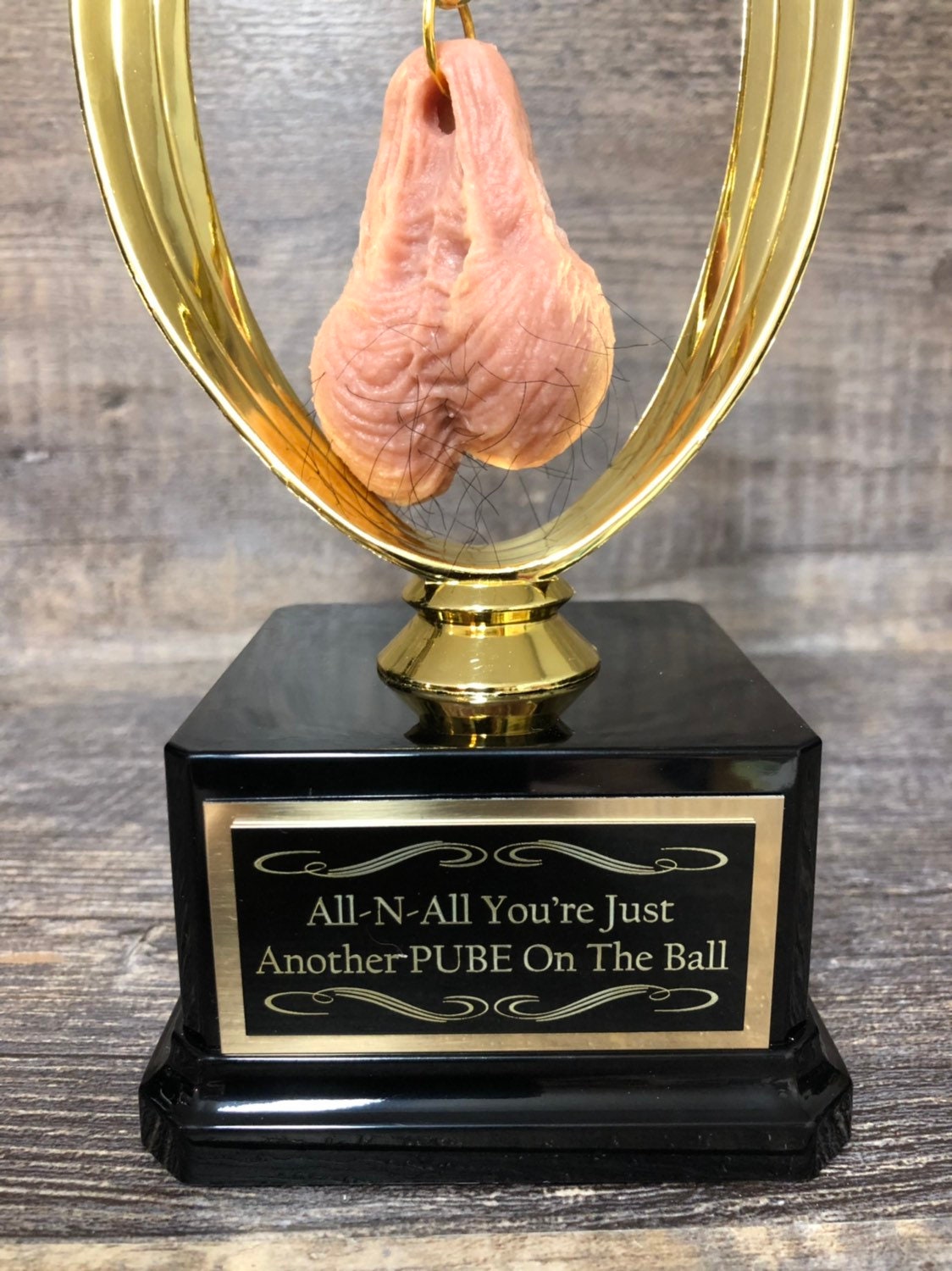 HAIRY Balls All N' All You're Just Another Pube On The Ball Funny Trophy You Suck Loser Trophy FFL Sacko Adult Humor Gag Gift Testicle