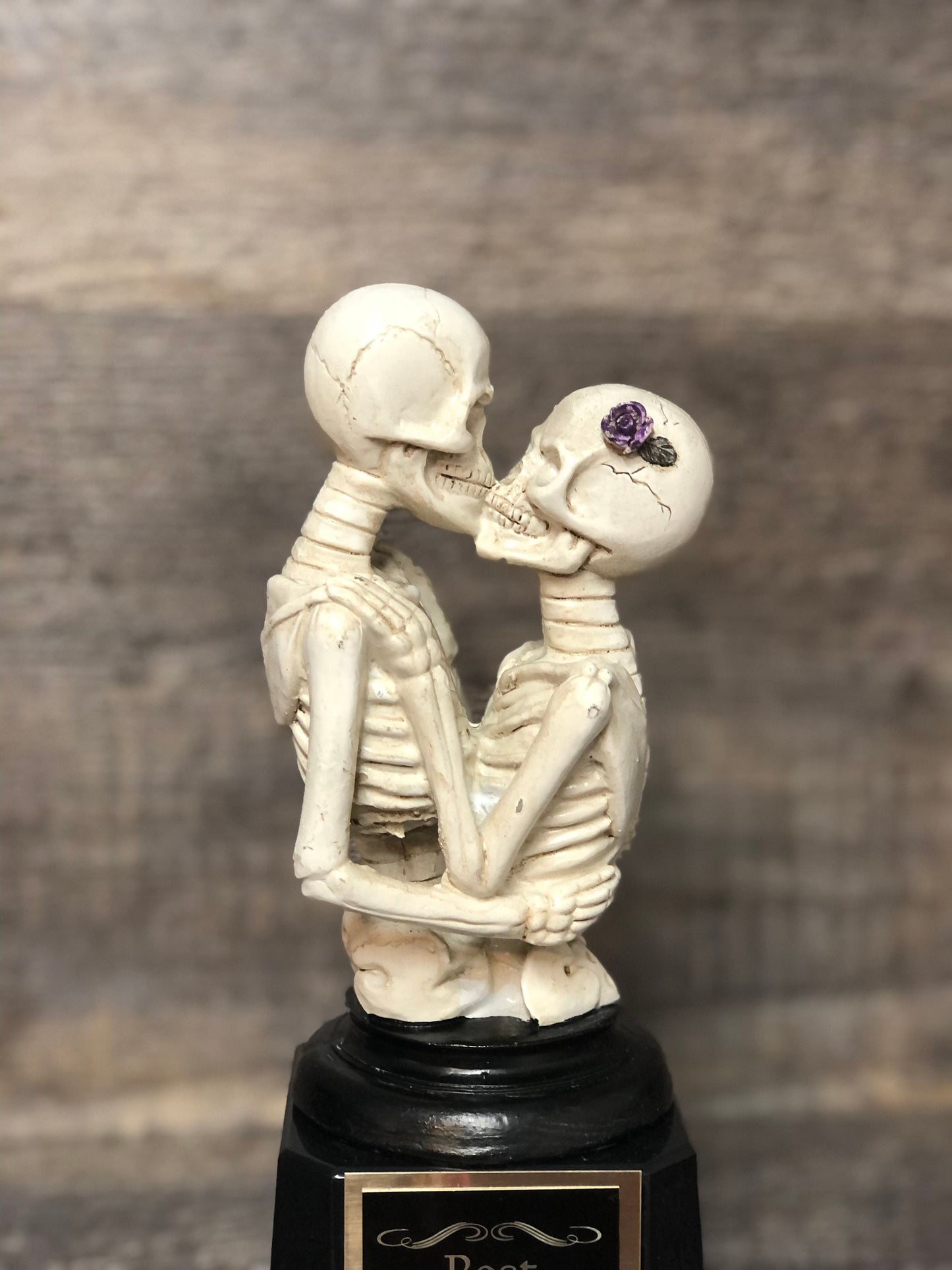 Halloween Trophy Couple Costume Contest Winner Skeleton Casket Trophy Dia De Los Muertos Winner Couples Trophies Halloween Decor Skull