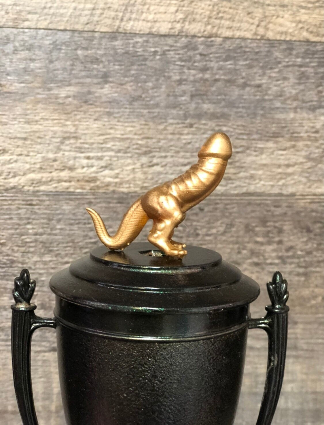 Dickasaurus Funny Trophy Iridescent Cup Award FFL Loser Award Adult Hu –  Trophies With A Twist