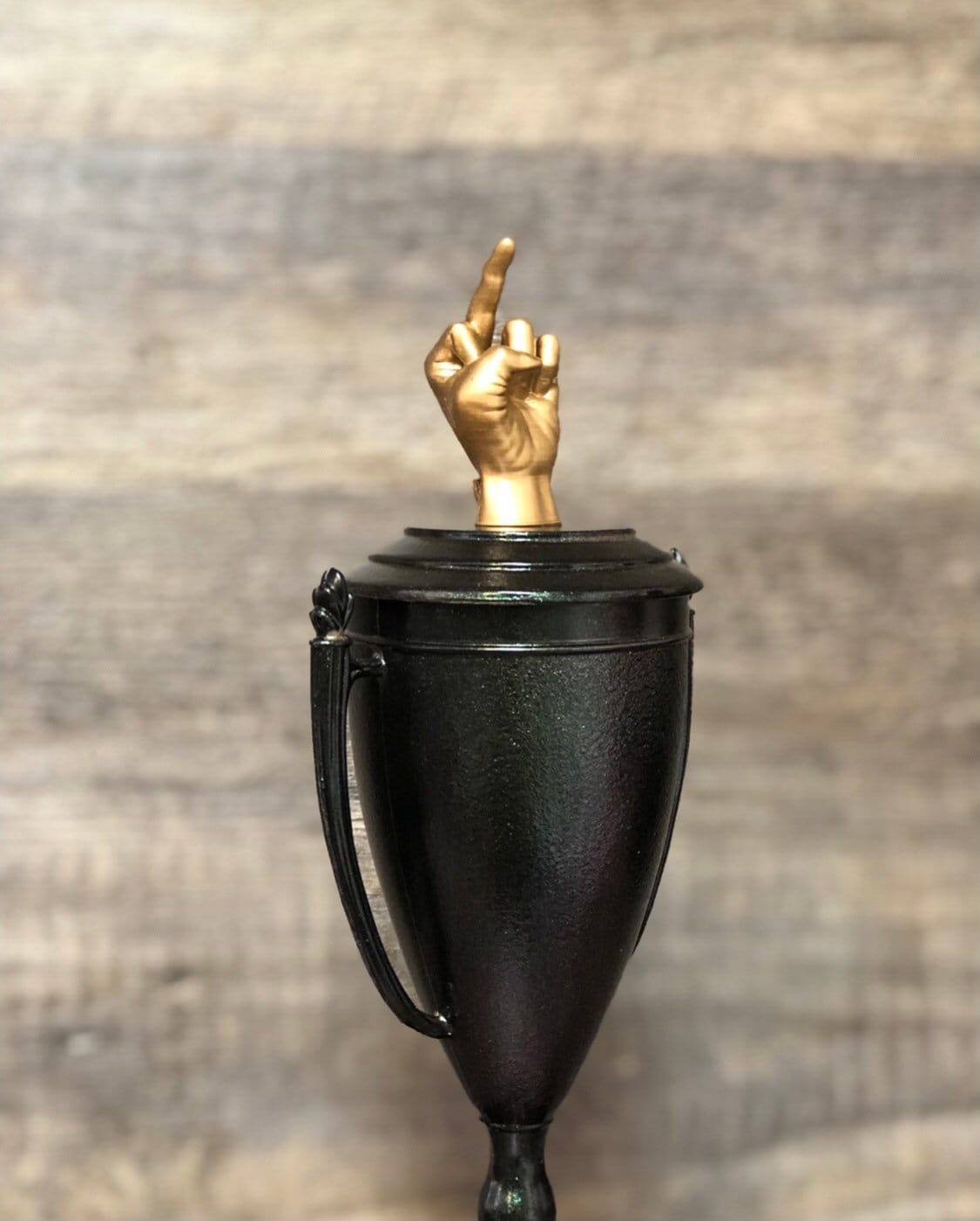 Middle Finger Funny Golf Trophy Hole In One Iridescent Cup Loser Award Adult Humor The Bird F*ck You One Finger Two Words Gag Gift
