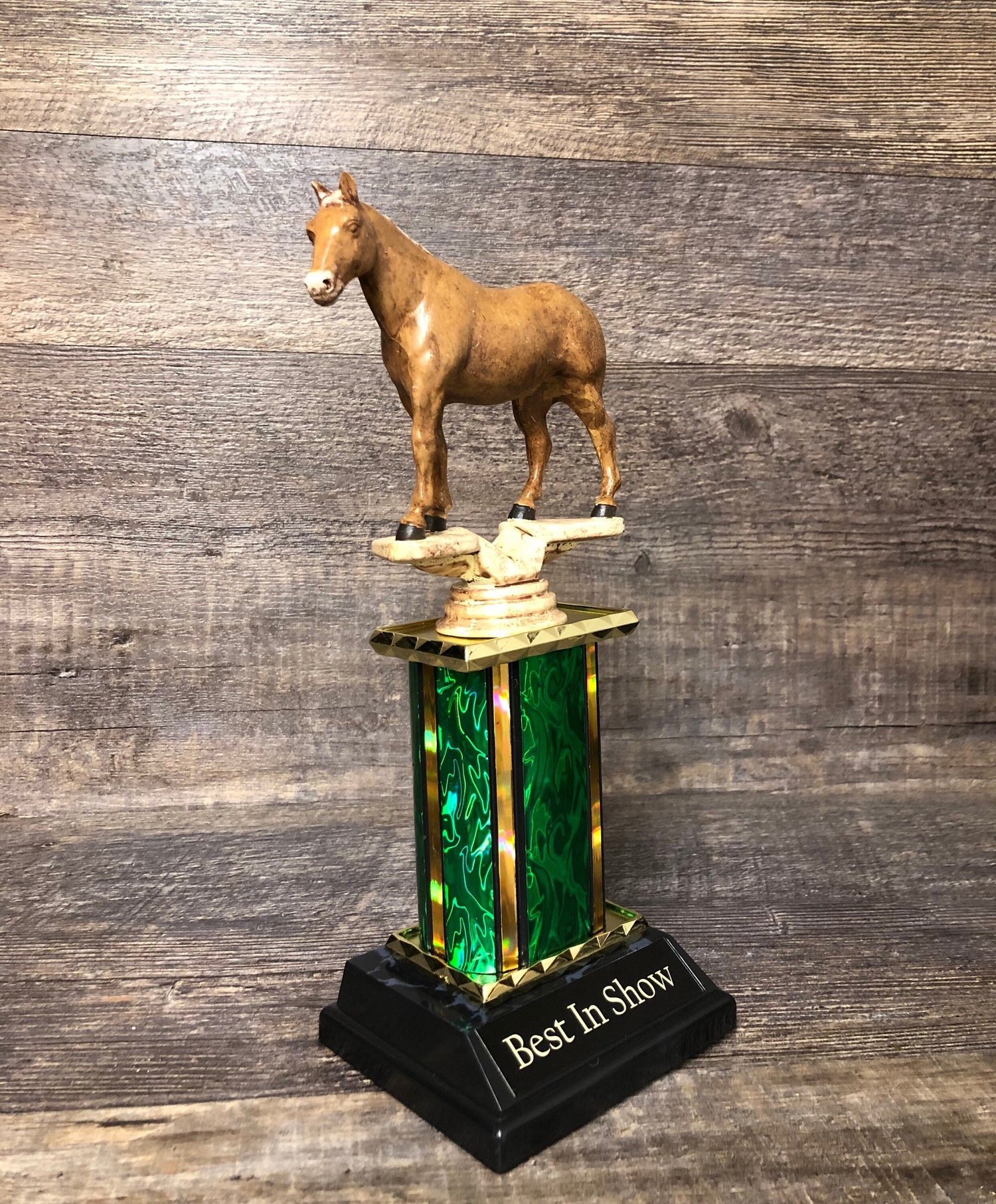 Personalized Horse Equestrian Trophy Best In Show Award Derby Cup Trophy Palomino Horse Riding Equestrian Horseback Hand Painted Horse