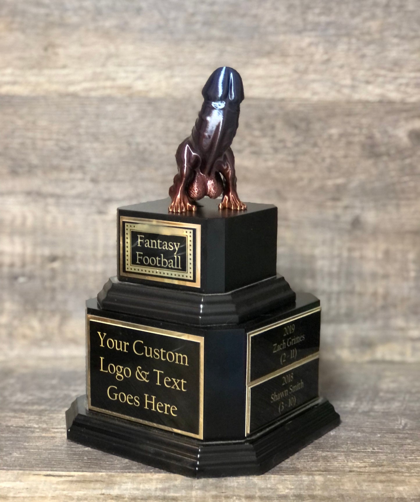 Fantasy Football Loser Trophy Sacko Award Perpetual Trophy LOSER Trophy FFL Trophy Funny Award Perpetual Trophy Last Place Award