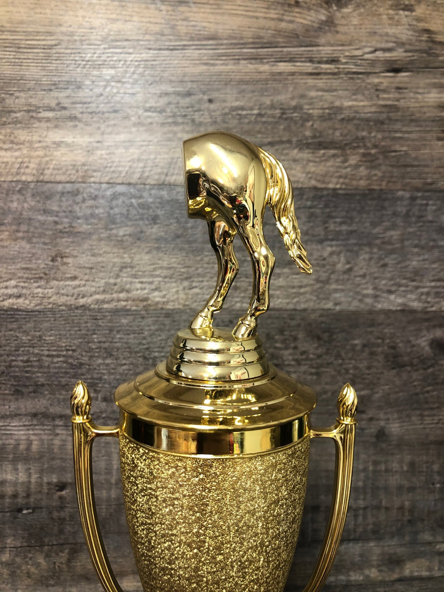 Funny Trophy Biggest Ass Award Jack Ass Trophy Cup Loser Award Adult Humor Gag Gift Biggest Horse's Ass Award Fantasy Football Loser Cup
