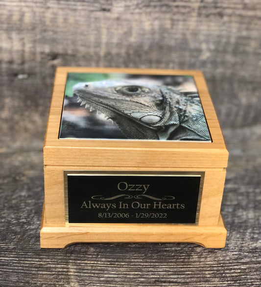 Reptile Urn Iguana Urn Small Animal Pet Urn Snake Urn Pet Memorial Keepsake Box Cremation Urn Custom Photo Tile & Engraved Tag To 25lbs