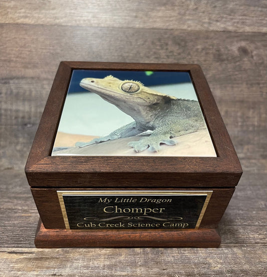 Reptile Urn Bearded Dragon Urn Small Animal Pet MAHOGANY Urn Iguana Urn Gecko Lizard Pet Keepsake Cremation Custom Photo & Engraved To 25lbs