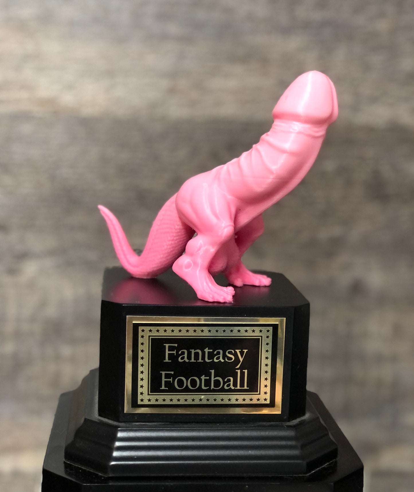 Girls Fantasy Football Dickasaurus LOSER Trophy FFL Loser Sacko Award Funny Trophy Award Perpetual Trophy Last Place Dinosaur Penis Award