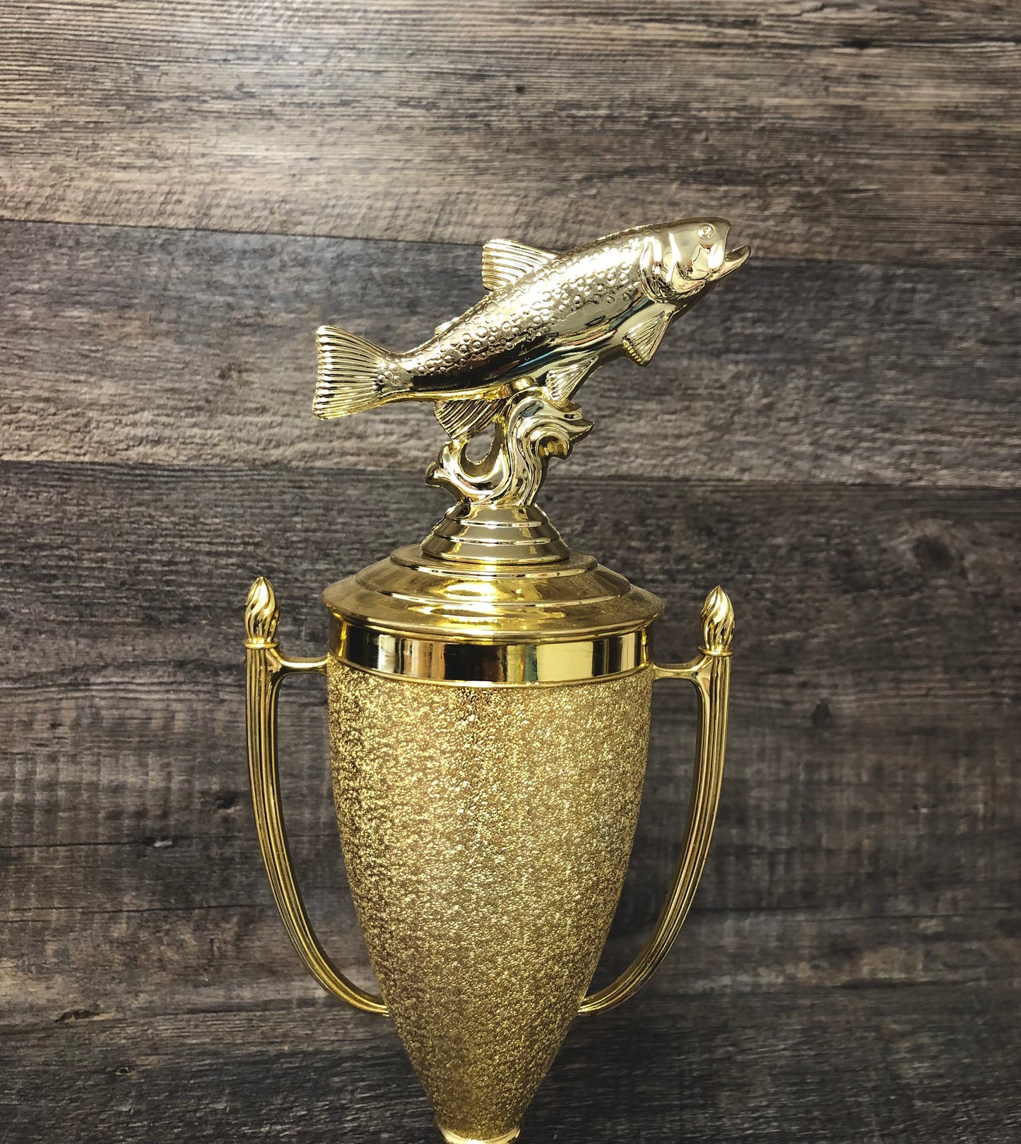 Fishing Trophy Fishing Derby Trophy Biggest Trout Tournament Trophy #1 Master Baiter Award Salmon Bass Fish Trophy Gag Gift