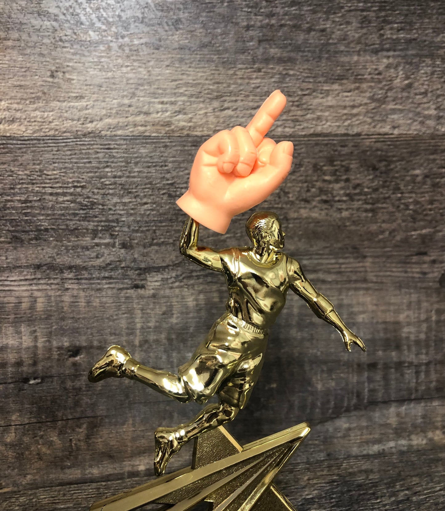 Basketball Trophy Funny Loser Trophy Middle Finger Gag Gift Adult Humor Funny Flipping The Bird F*ck You Trophy One Finger Two Words Award