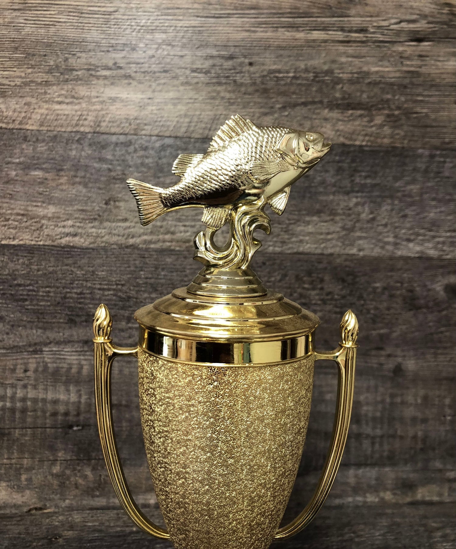 Fishing Trophy Fishing Derby Trophy Biggest Bass Tournament Trophy #1 Master Baiter Award Perch Fish Trophy Gag Gift