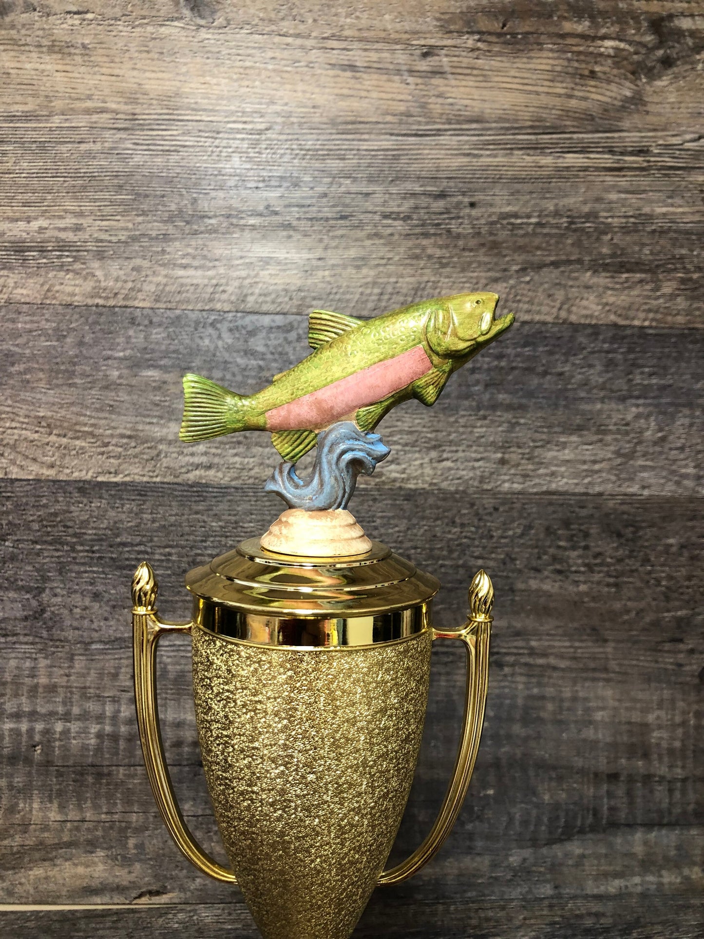 Fishing Trophy Award Funny Trophy Biggest Trout Tournament Derby Trophy HAND PAINTED Salmon #1 Master Baiter Award Trophy Gag Gift Award