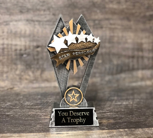 Perfect Attendance Award Mini Star Trophy Personalized You Deserve A Trophy Top Reader Achievement Award School Appreciation Award