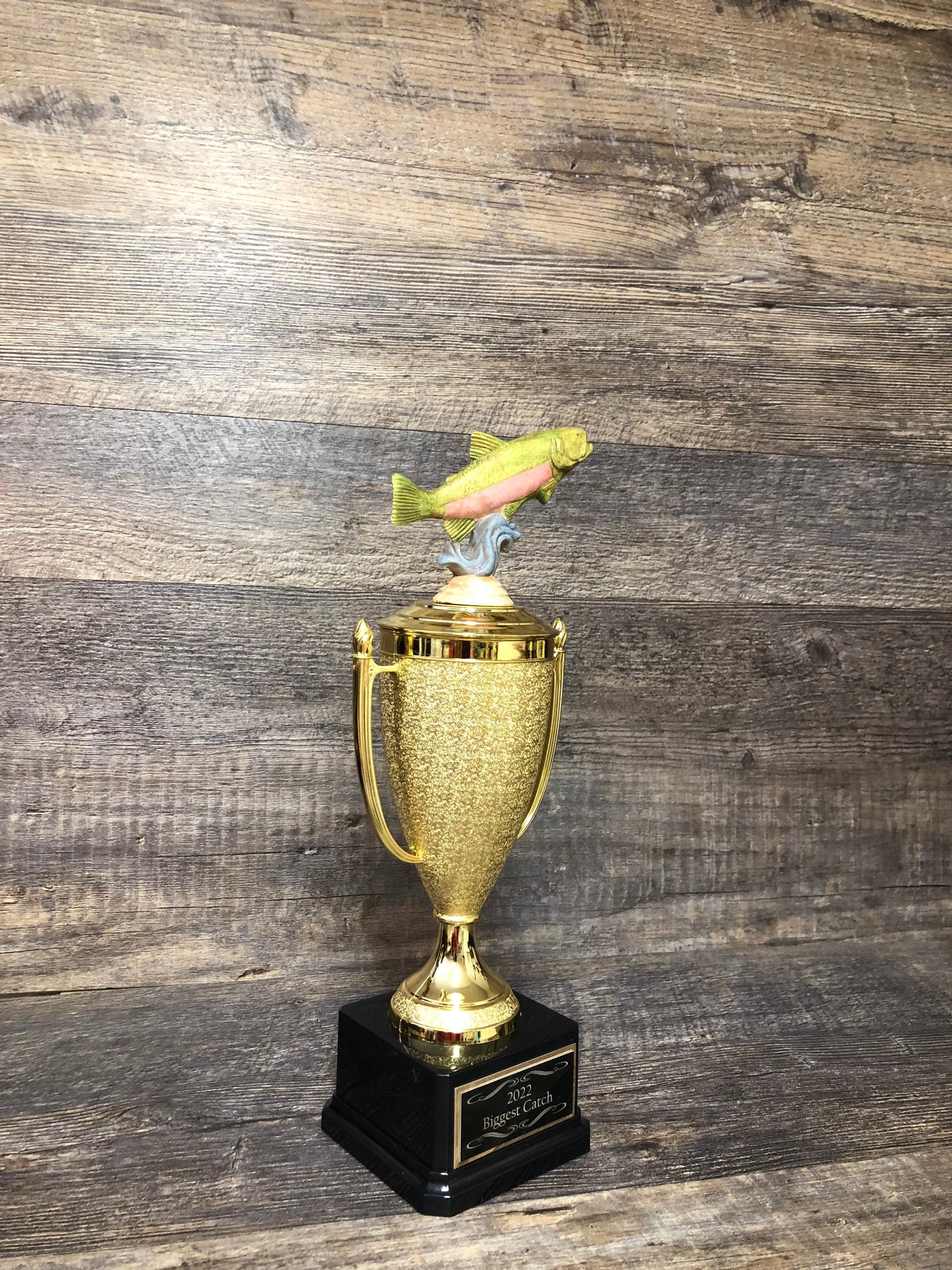 Fishing Trophy Award Funny Trophy Biggest Trout Tournament Derby Trophy HAND PAINTED Salmon #1 Master Baiter Award Trophy Gag Gift Award