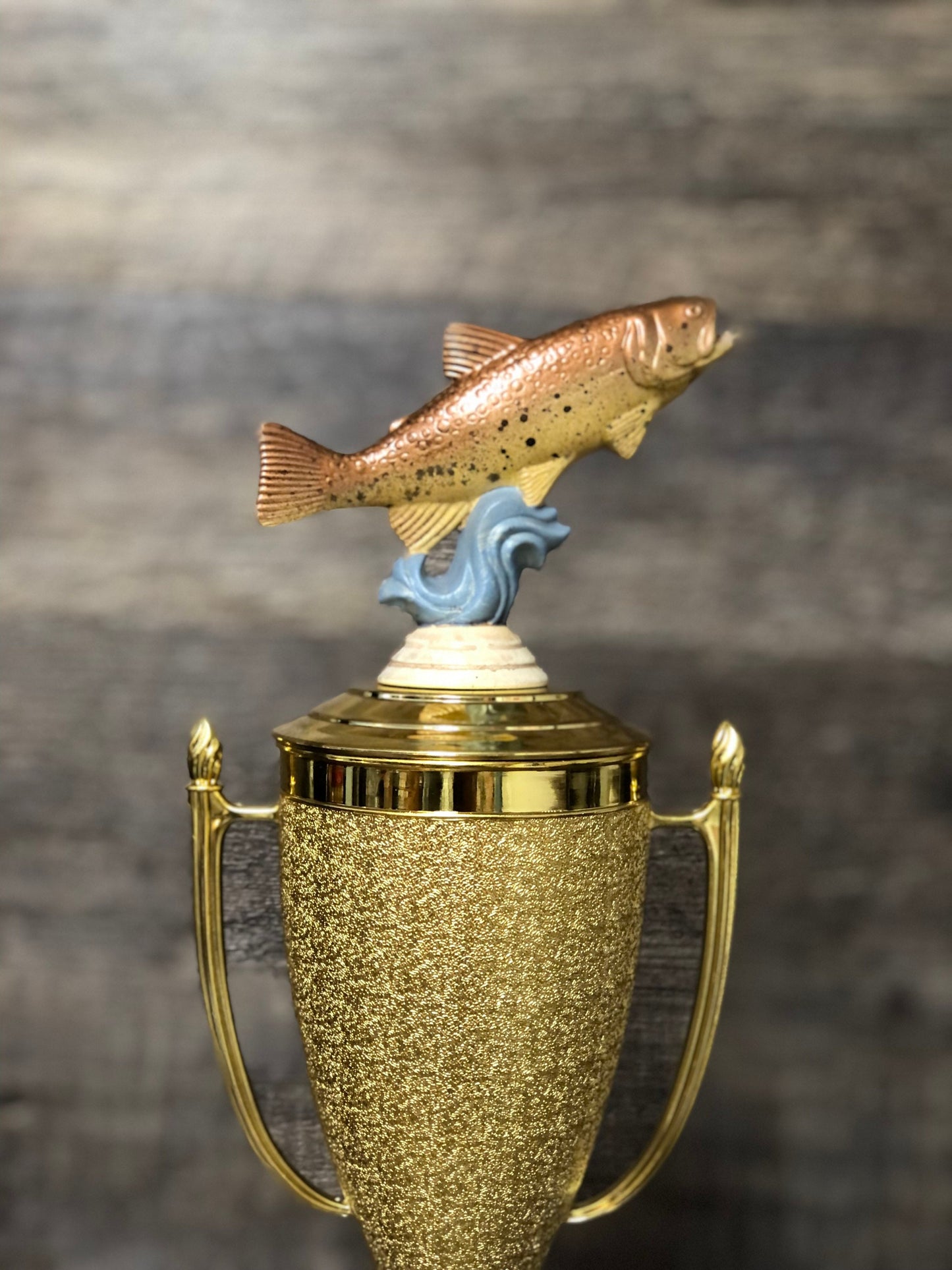 Fishing Trophy Brown Trout Tournament Derby Trophy HAND PAINTED Award Biggest Fish Funny Trophy #1 Master Baiter Award Trophy Gag Gift Award