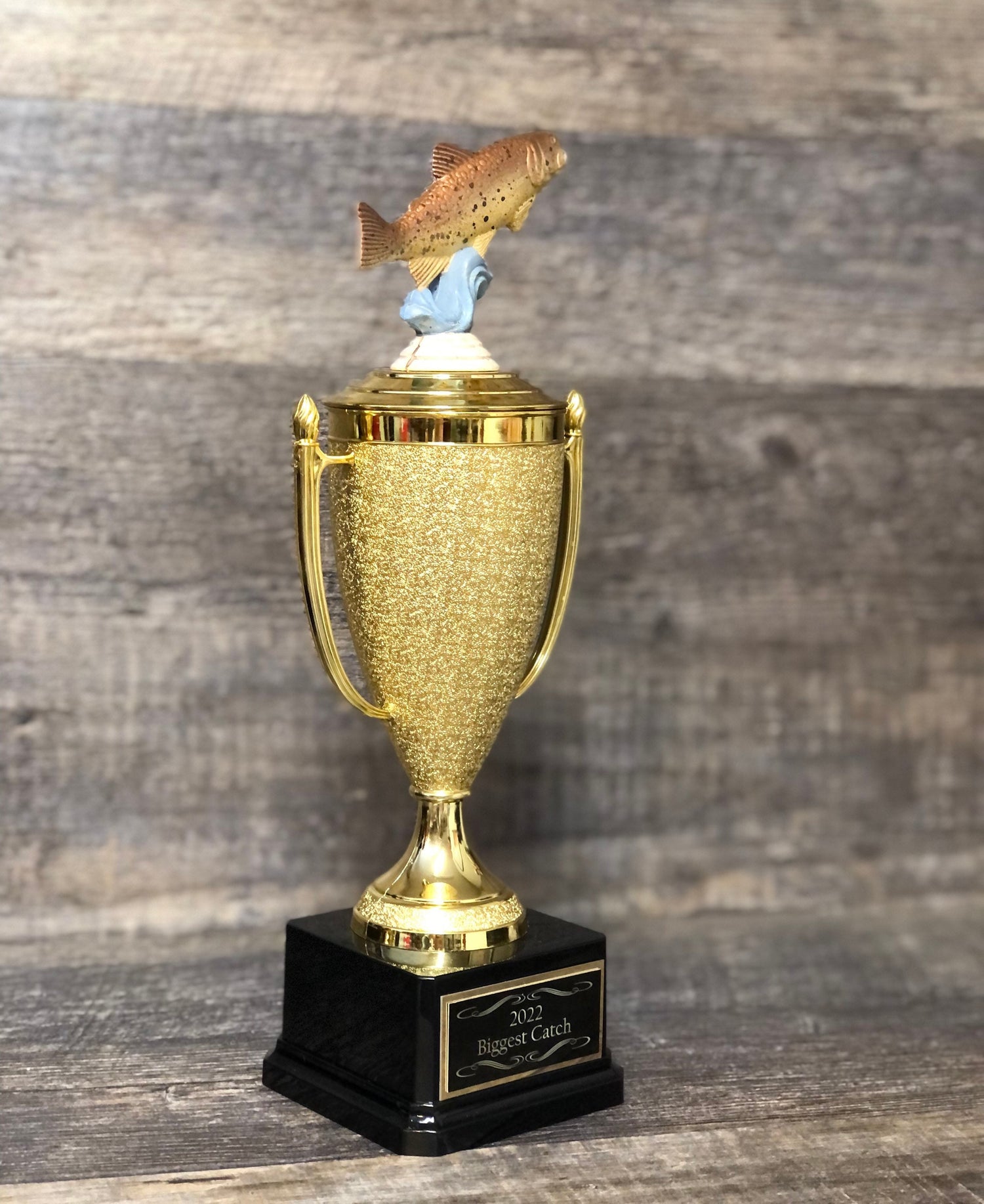 Fishing Trophy Brown Trout Tournament Derby Trophy HAND PAINTED Award Biggest Fish Funny Trophy #1 Master Baiter Award Trophy Gag Gift Award