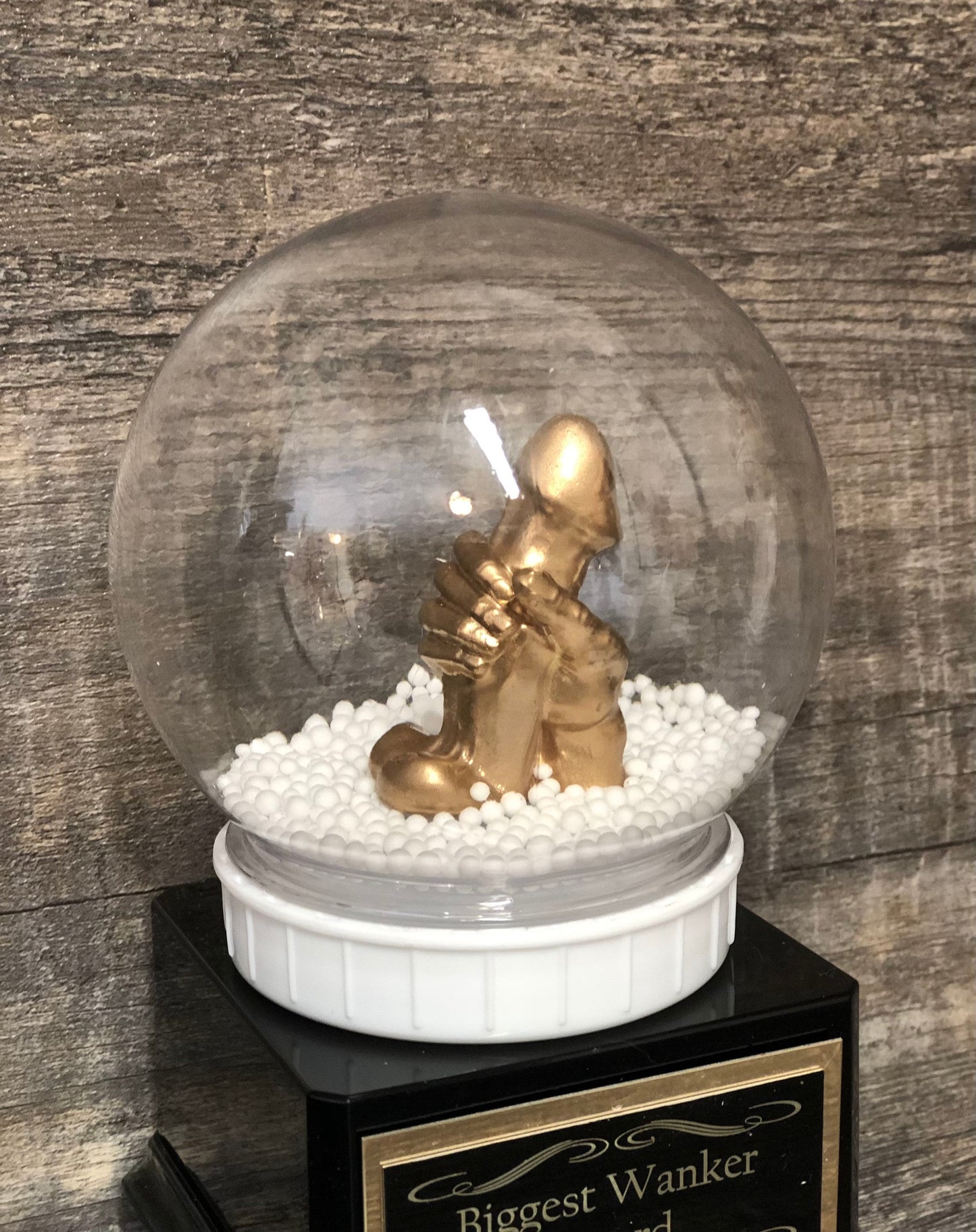 Fantasy Football Trophy WANKER Snow Globe Funny Trophy You're A Dick Biggest Wanker LOSER Trophy FFL Last Place Fantasy Penis Funny Gag Gift