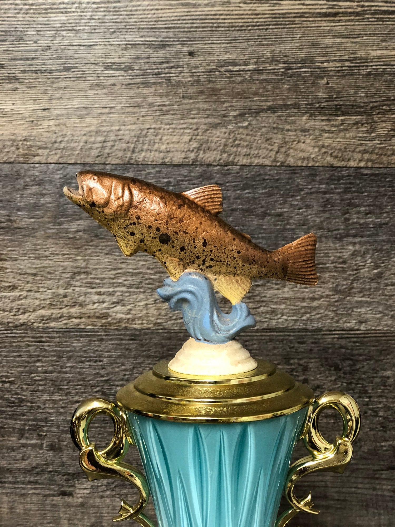 Fishing Trophy Brown Trout Tournament Derby Trophy HAND PAINTED Award Funny Trophy Biggest Fish Salmon #1 Master Baiter Award Gag Gift Award