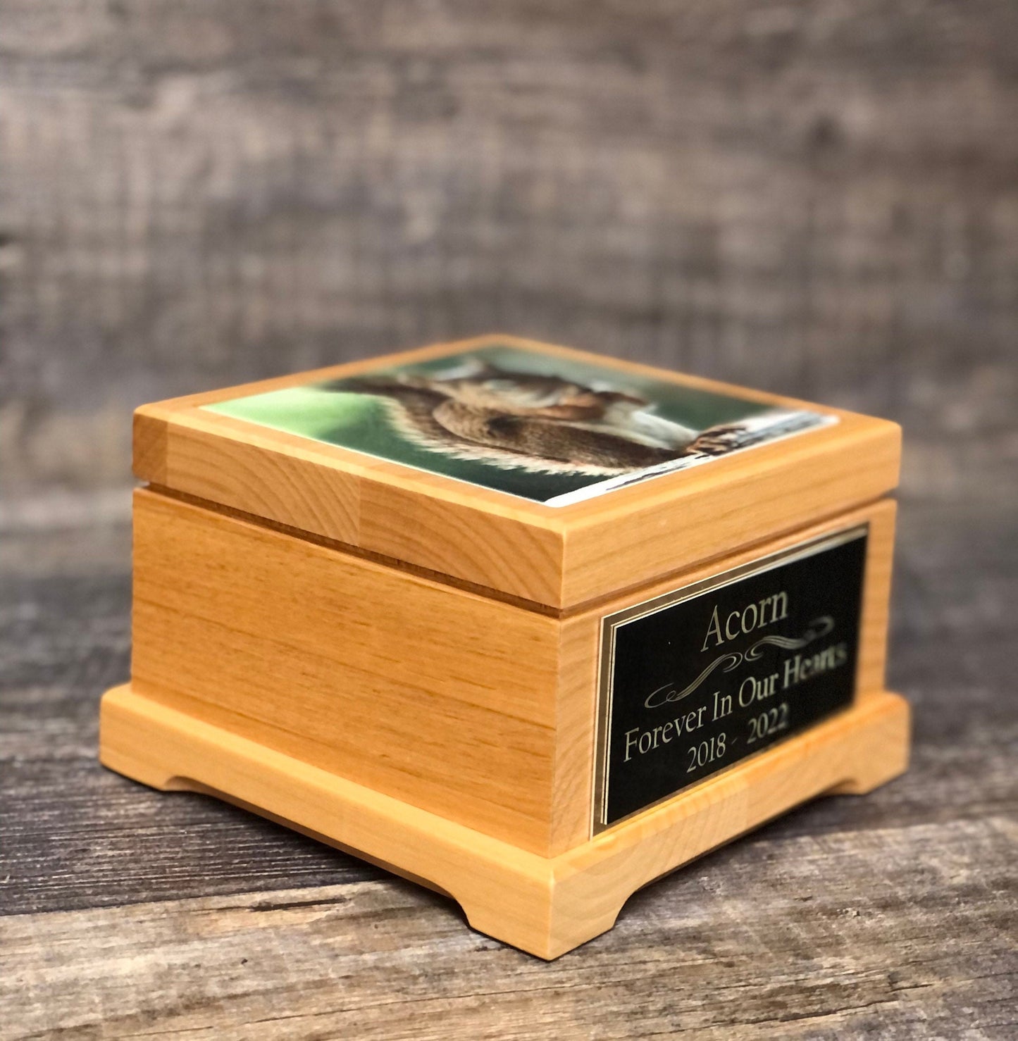 Squirrel Urn Small Animal Pet Urn Rodent Mouse Urn Pet Memorial Keepsake Box Cremation Urn Custom Photo Tile & Engraved Tag To 25lbs