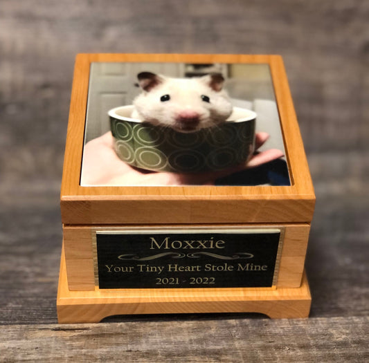 Hamster Urn Mouse Urn Guinea Pig Urn Small Animal Pet Urn Bunny Urn Pet Memorial Box Cremation Urn Custom Photo Tile & Engraved Tag To 25lbs