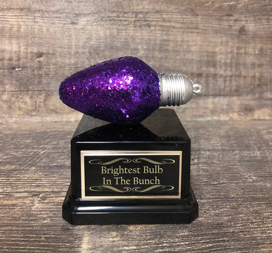 Mini Best Decorated House Christmas Lights Trophy Neighborhood Brightest Bulb In The Bunch Ugly Sweater Christmas Trivia Party Ornament