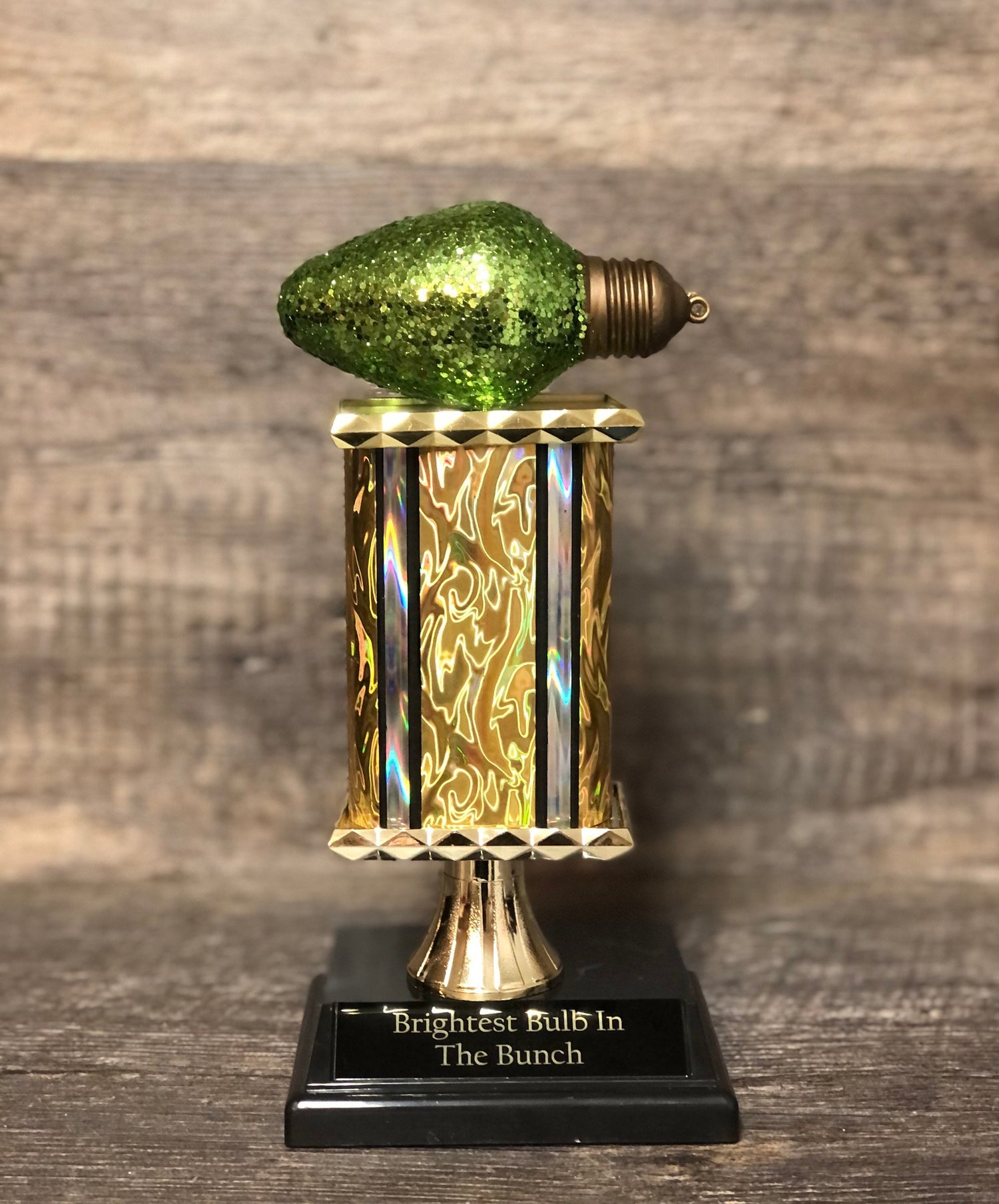 Best Decorated House Christmas Lights Trophy Neighborhood Brightest Bulb In The Bunch Christmas Ornament Ugly Sweater Holiday Trivia Party R