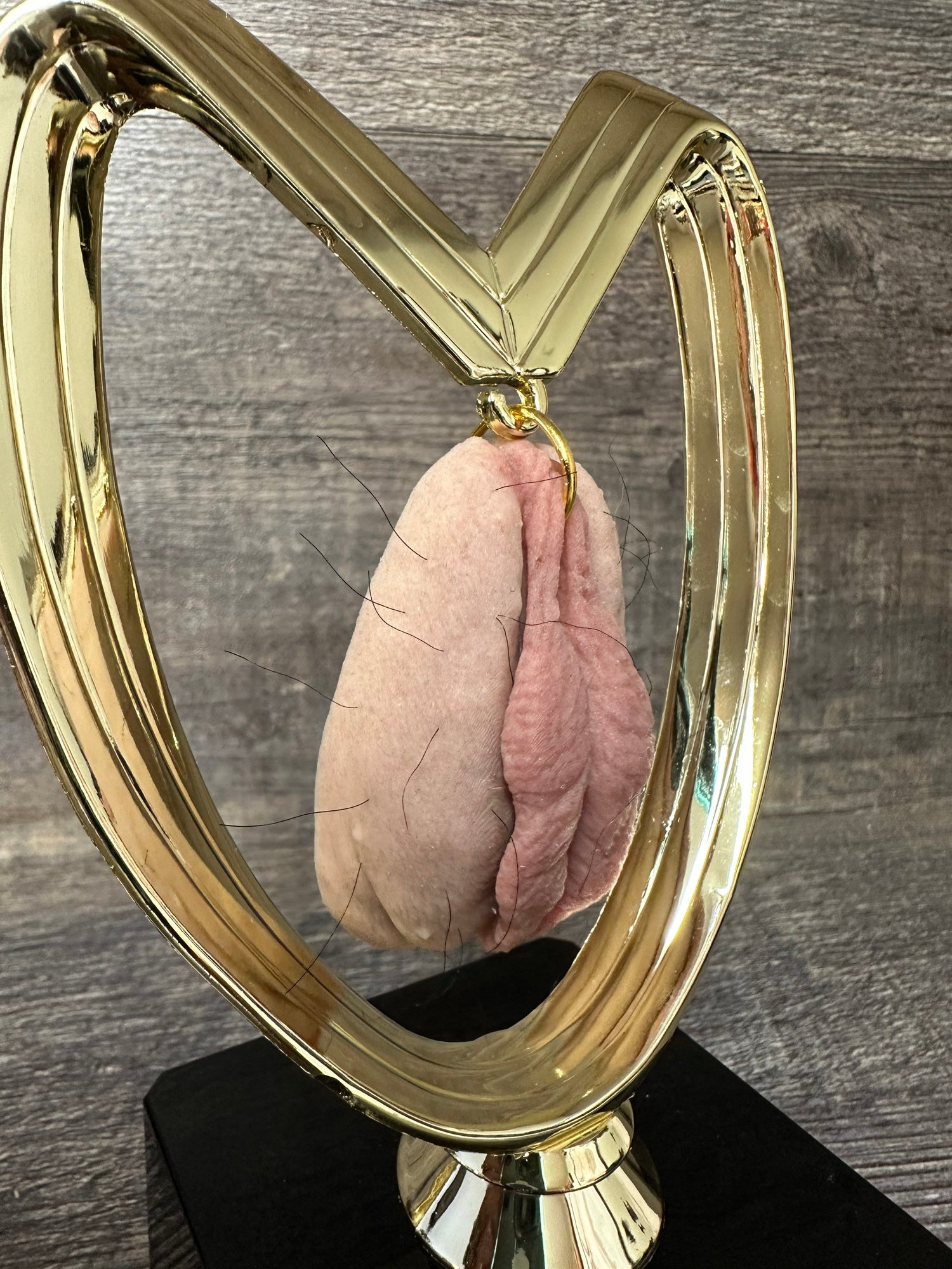 HAIRY Vagina Funny Trophy Loser Trophy Last Place Trophy Hairy Pussy Trophy Adult Humor Gag Gift Inappropriate Birthday Personalized Gift