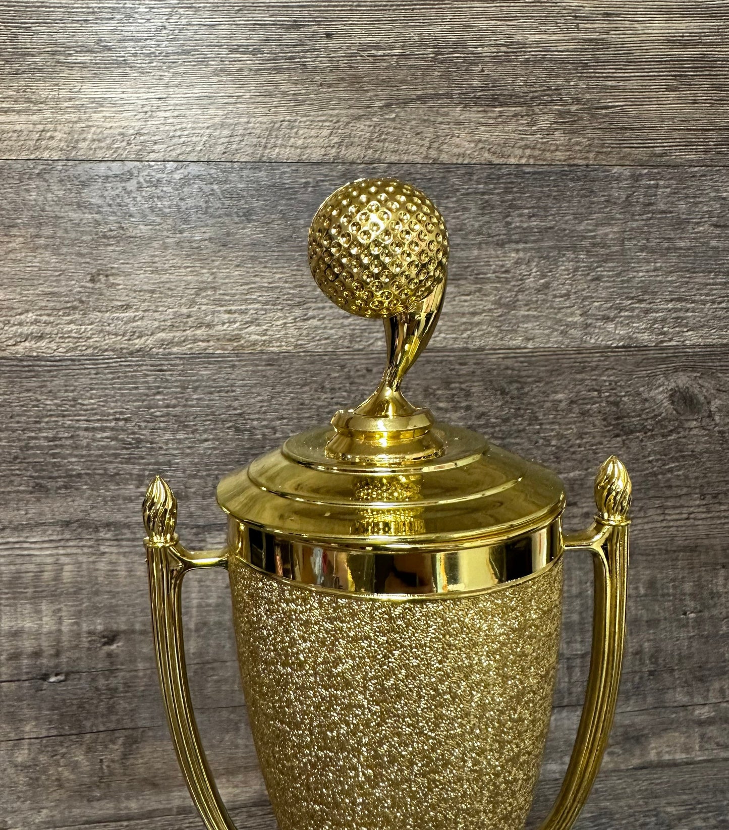 Golf Trophy Cup Tournament Trophy Hole In One Award Charity Event Winner Cup Under Par Guy's Weekend