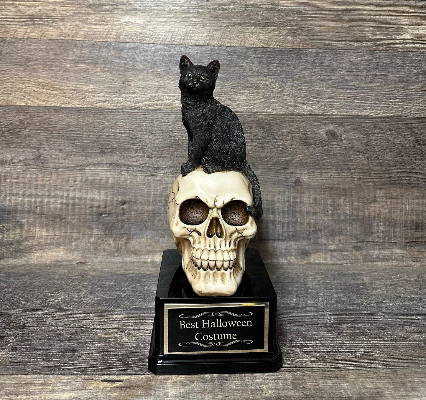 Halloween Trophy Black Cat On A Skull Costume Contest Winner Scariest Costume Pumpkin Carving Halloween Party Decor Dia De Los Muertos