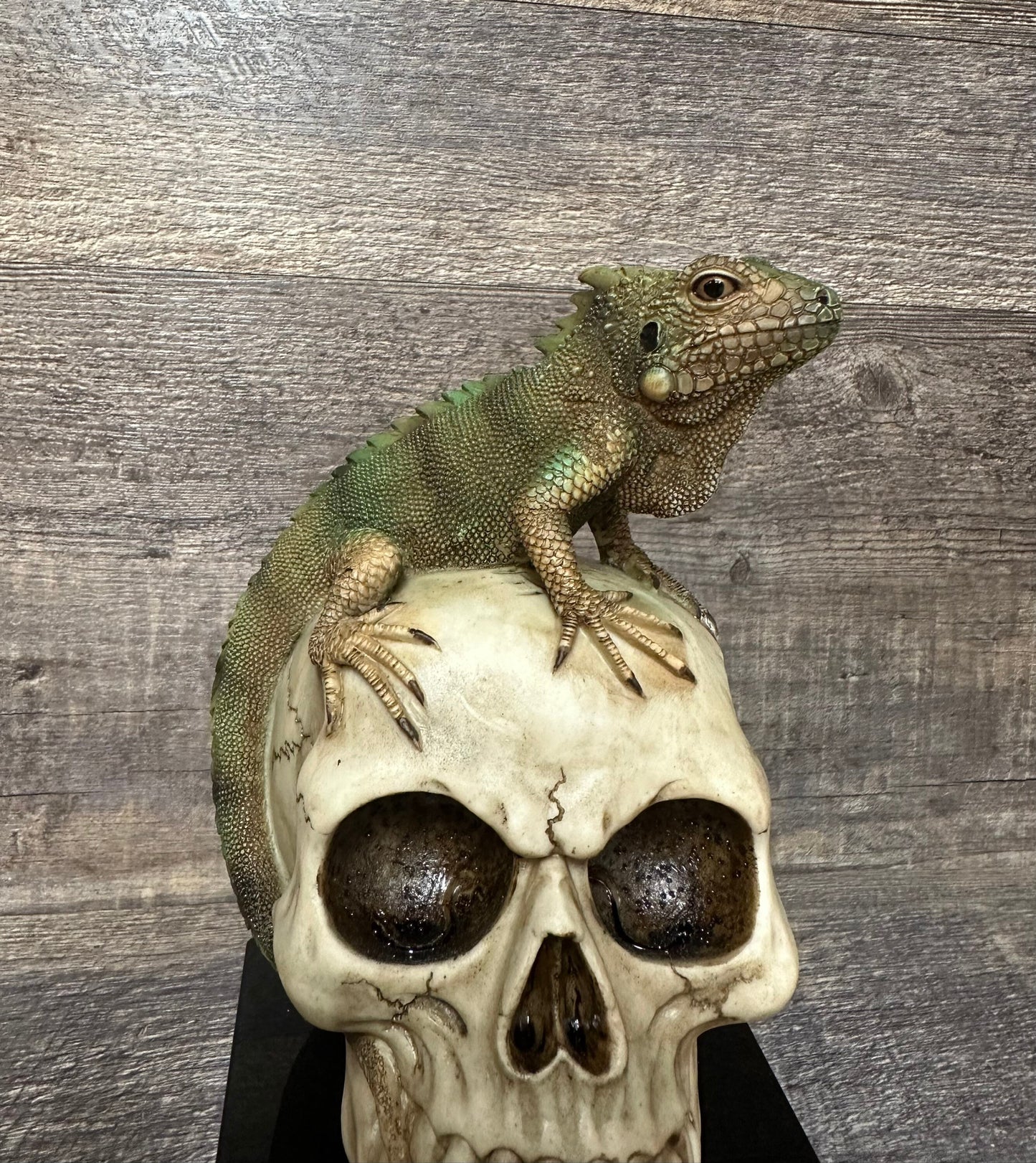 Halloween Trophy Iguana Skull Costume Contest Winner Lizard Scariest Costume Pumpkin Carving Halloween Party Decor Dia De Los Muertos