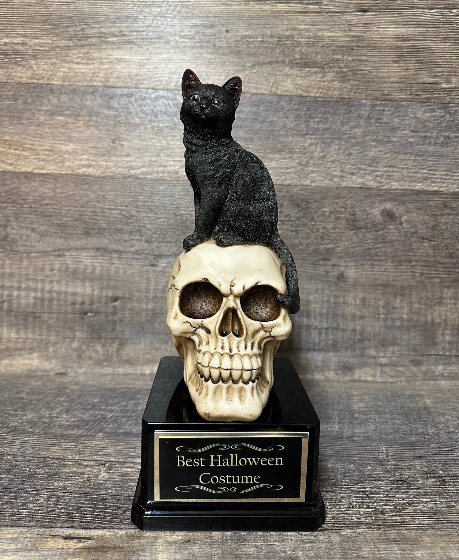 Halloween Trophy Black Cat On A Skull Costume Contest Winner Scariest Costume Pumpkin Carving Halloween Party Decor Dia De Los Muertos